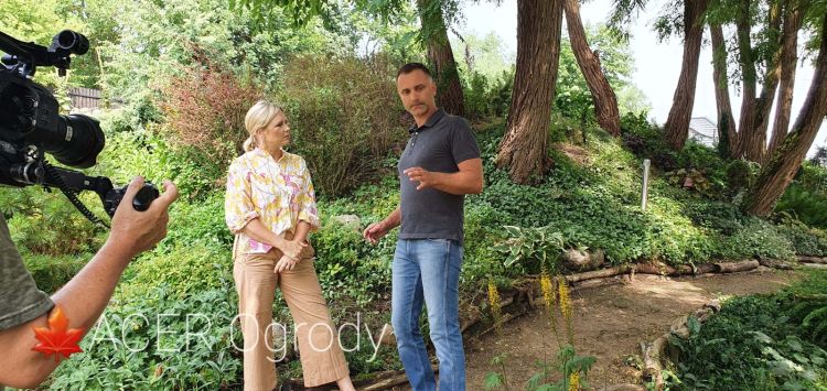 prezenterzy na tle drzew