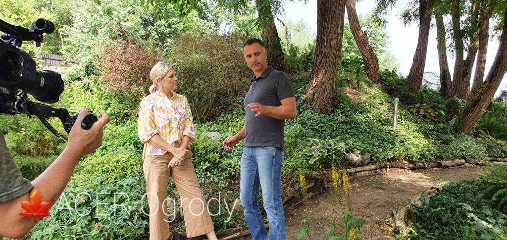 prezenterzy na tle drzew